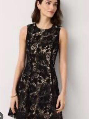 Sleeveless Black Lace Mini Dress with Gold Underlay